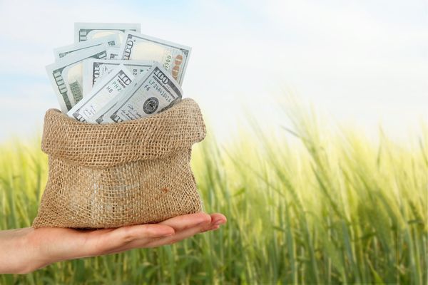 Manyas Çiftliklerinde Üretim Planlama ve Gelir Takibi